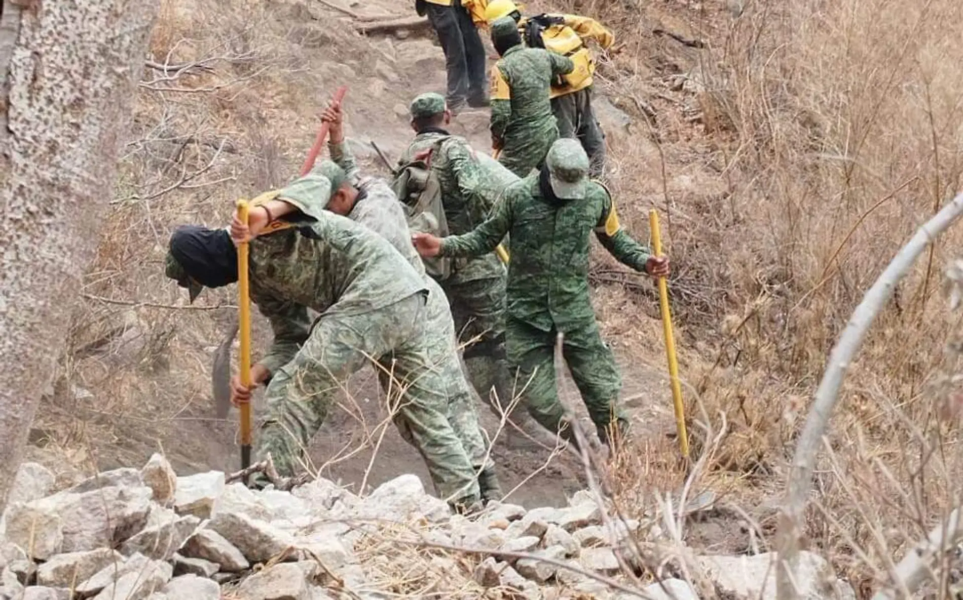 FROY-F08A Un incendio continúa activo en el estado de Morelos (2)